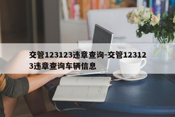 交管123123违章查询-交管123123违章查询车辆信息