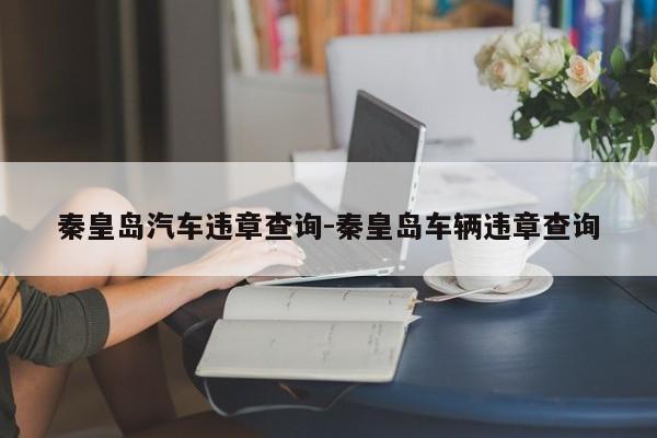秦皇岛汽车违章查询-秦皇岛车辆违章查询