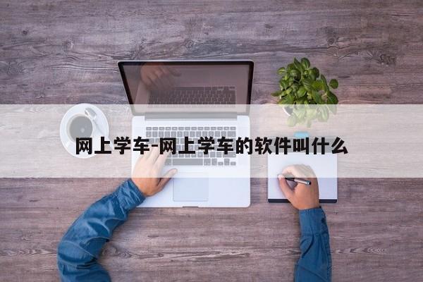 网上学车-网上学车的软件叫什么