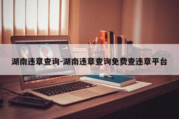 湖南违章查询-湖南违章查询免费查违章平台