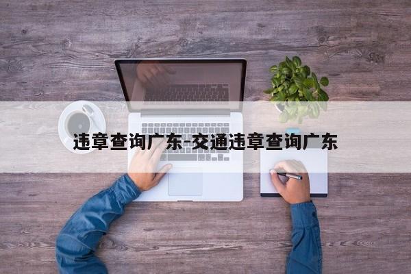 违章查询广东-交通违章查询广东