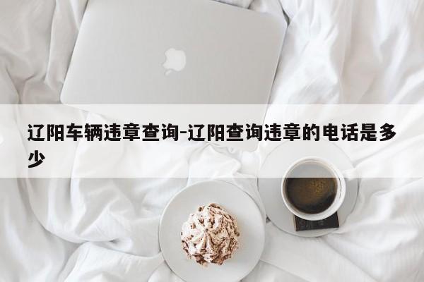 辽阳车辆违章查询-辽阳查询违章的电话是多少
